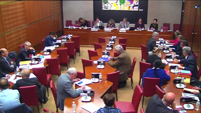 Intervention d'Hervé Féron en Commission des Affaires Culturelles et de l'Education : PLF 2015 - présentation des rapports pour avis sur les crédits des missions Création, transmission des savoirs et démocratisation de la culture, Patrimoine