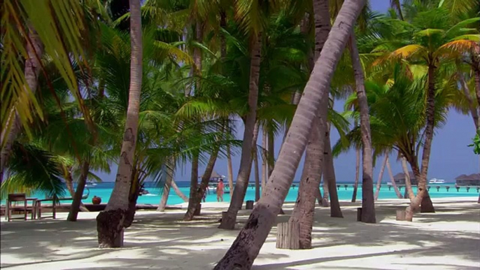 MALDIVES RELAX VIDEO. NATURE & HOTELS