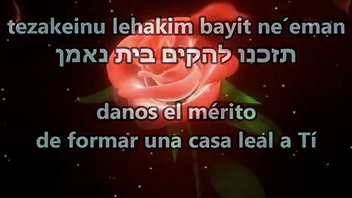 Tefilat Kallah   תפילת כלה   Oración de la novia - Yaakov shwekey   יעקב שוואקי