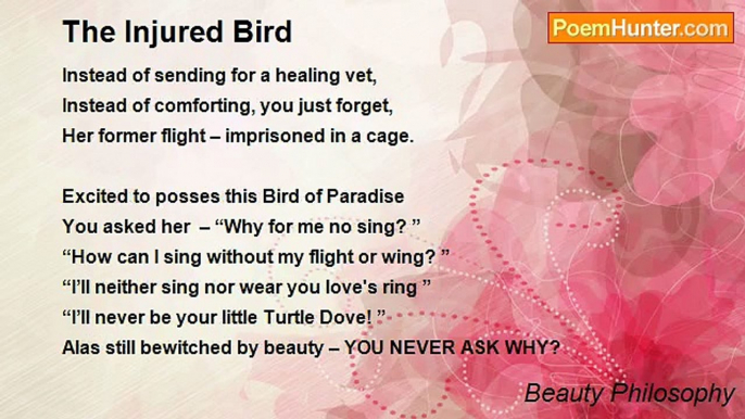 Beauty Philosophy - The Injured Bird