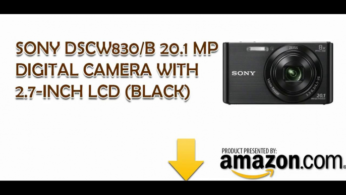 Sony DSCW830B 20.1 MP Digital Camera with 2.7-Inch LCD Black - B00HNJWUC2