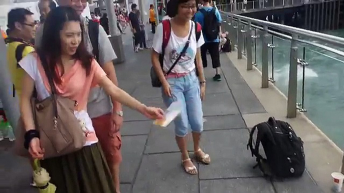 Bichon Frise Dogs going for a walk in Jordan Hong Kong