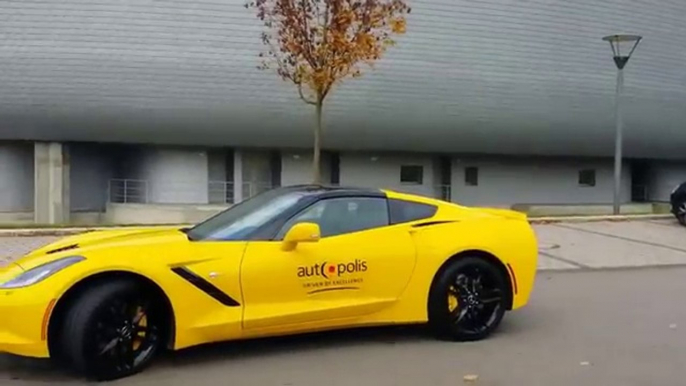 Corvette Stingray 2014