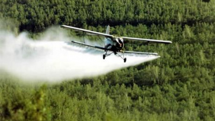 CALIFORNIA WANTS TO PUNISH THE NO GMO MOVEMENT AND SPRAY ALL ORGANIC CROPS WITH PESTICIDES.