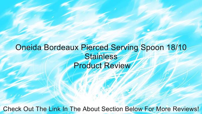 Oneida Bordeaux Pierced Serving Spoon 18/10 Stainless Review