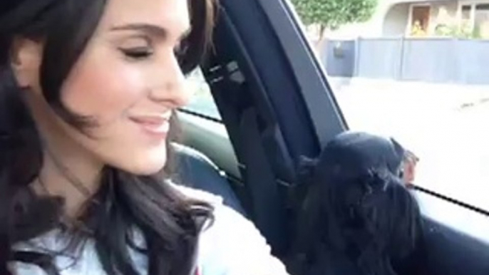 What happens pretty much every time I think a hot guy is hitting on me.: Brittany Furlan's Vine #327