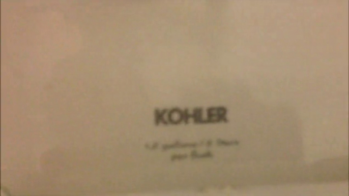 BTR-016: Kohler toilets with Kohler seats at Denny's