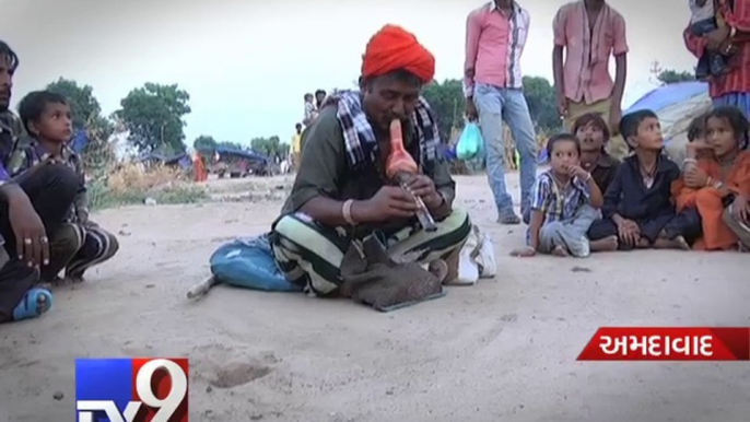 Life holds no charm for snake charmers, Part 2 - Tv9 Gujarati