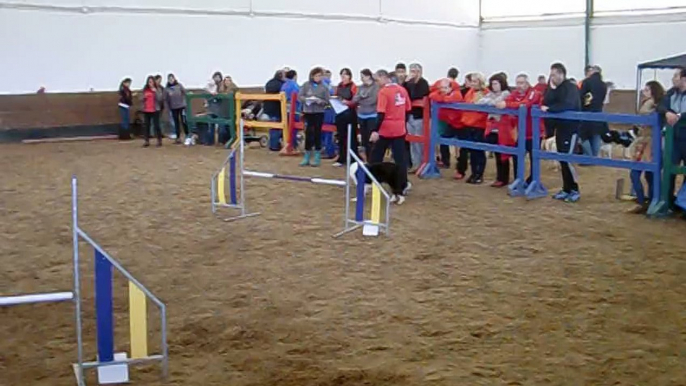 Jorge & Daxa - JUMPING - III COPA FAA [30-11-2014 Castrillón - Asturias]