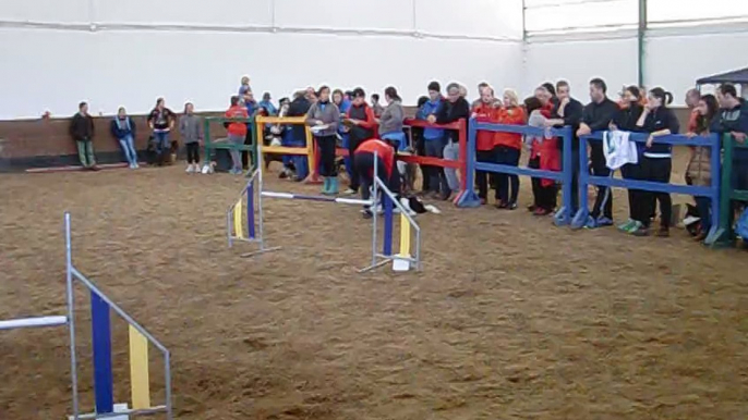 Lucia & Baxter - JUMPING - III COPA FAA [30-11-2014 Castrillón - Asturias]