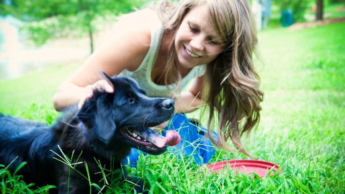 Dog Training Sydney | Dog Boarding Sydney | Dog Trainer Sydney