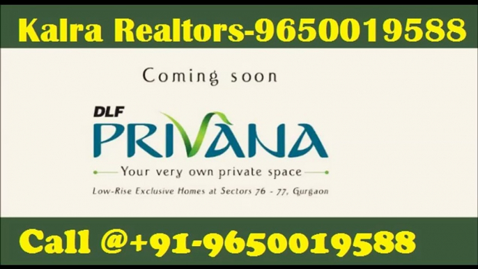 Independent Floors |965x0019588| DLF Privana Sector 76 Gurgaon