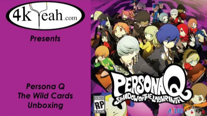 12/06/2014: Persona Q Unboxing