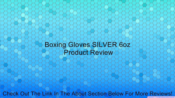 Boxing Gloves SILVER 6oz Review