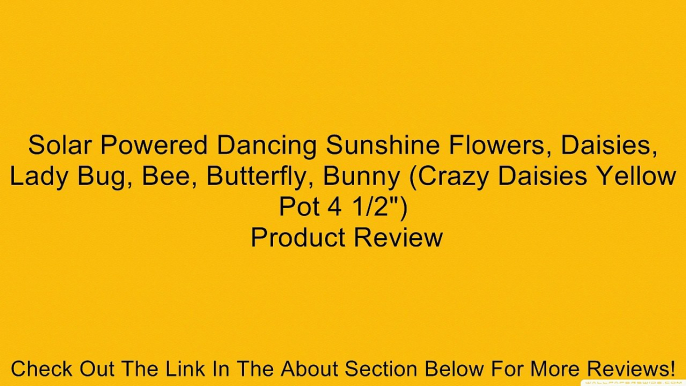 Solar Powered Dancing Sunshine Flowers, Daisies, Lady Bug, Bee, Butterfly, Bunny (Crazy Daisies Yellow Pot 4 1/2") Review