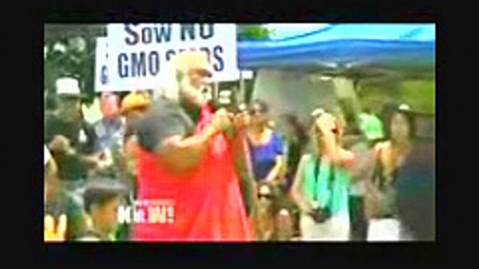 Maui v  Monsanto   Hawaii County Voters Defy Agri Giants Spending to OK Landmark Ban on GMO Crops