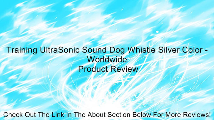 Training UltraSonic Sound Dog Whistle Silver Color - Worldwide Review
