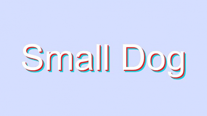 How to Pronounce Small Dog