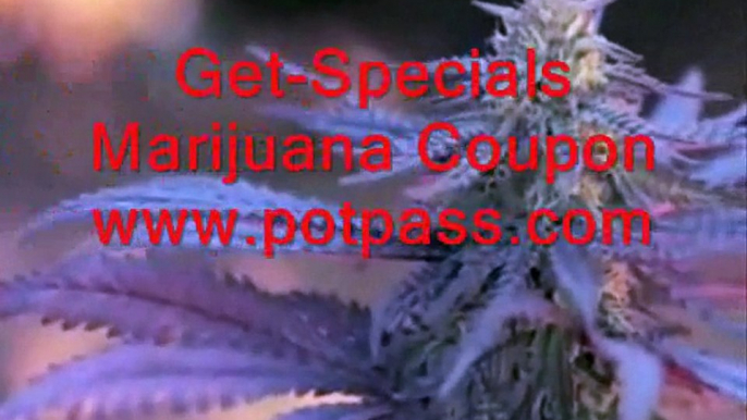 Colorado marijuana Coupon, Colorado marijuana Industry, Best marijuana of 2015