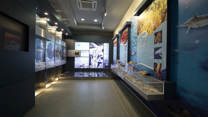 Natural History Museum of Alexandroupolis