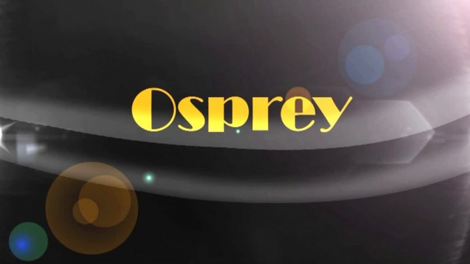 Achat et vente d'or - Bijoux anciens et d'occasion - Osprey à Dinard