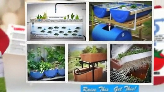 How To Buy Easy DIY Aquaponics Review – Build A Do It Yourself Aquaponics System