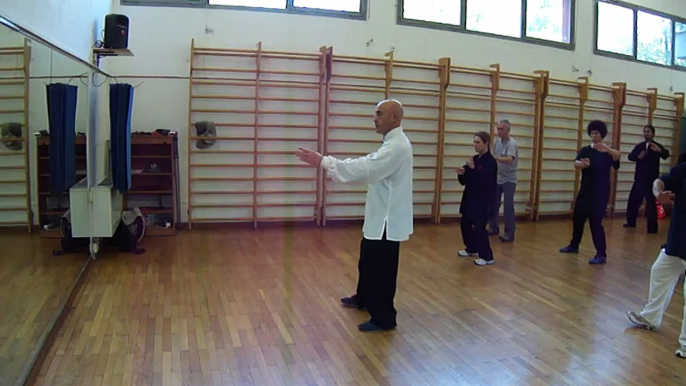 TAIJI QUAN A ROMA: DETTAGLI TECNICI DELLA FORMA CHEN - M° FLAVIO DANIELE