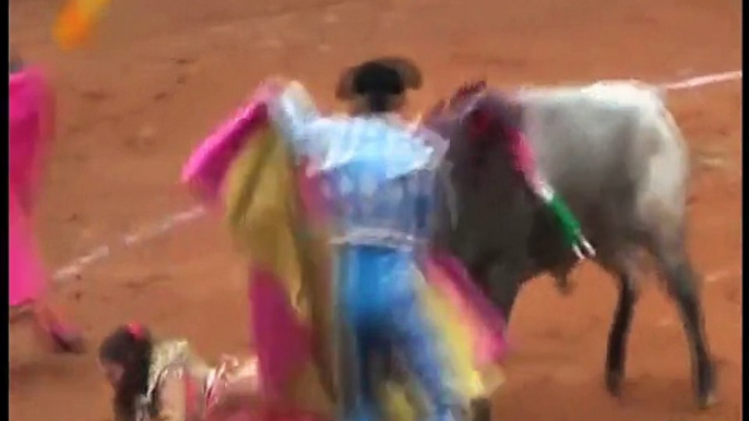 Mexican female bullfighter gored by bull.