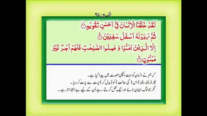 Quran with Urdu Translation Surah 95 At Teen