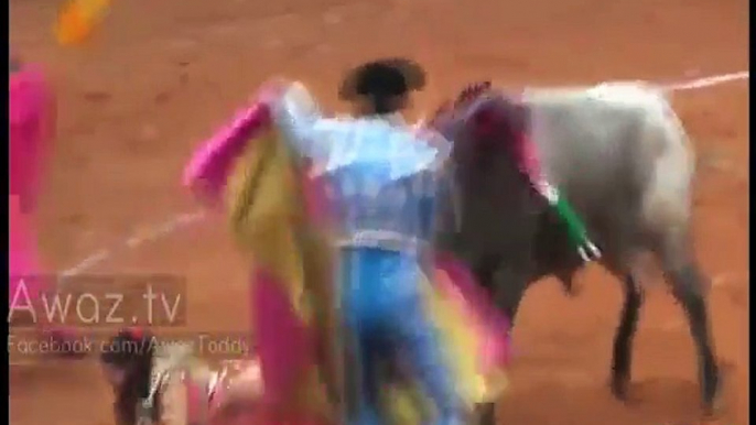 Mexican female bullfighter gored by bull