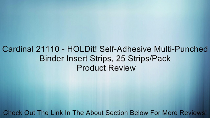 Cardinal 21110 - HOLDit! Self-Adhesive Multi-Punched Binder Insert Strips, 25 Strips/Pack Review