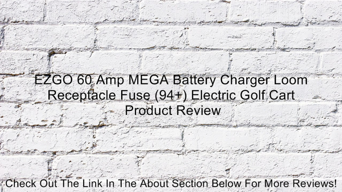 EZGO 60 Amp MEGA Battery Charger Loom Receptacle Fuse (94+) Electric Golf Cart Review