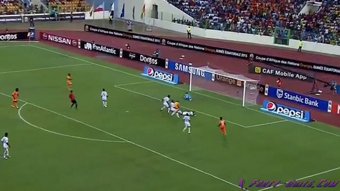 Seydou Doumbia Goal - Ivory Coast vs Guinea 1-1 (CAF 2015)