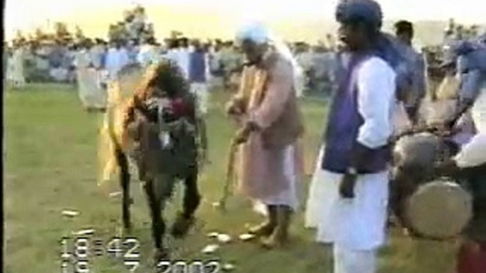 Sultan ul Faqr Hazrat Sakhi Sultan Muhammad Asghar Ali Sahib (R.A) (M H Sultania Awan Horse Club of Hazrat Sakhi Sultan Bahoo R.A)