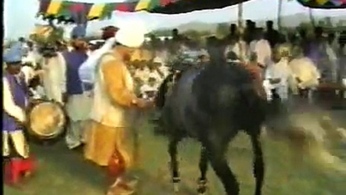 Sultan ul Faqr Hazrat Sakhi Sultan Muhammad Asghar Ali Sahib (R.A) (M H Sultania Awan Horse Club of Hazrat Sakhi Sultan Bahoo R.A) (2)