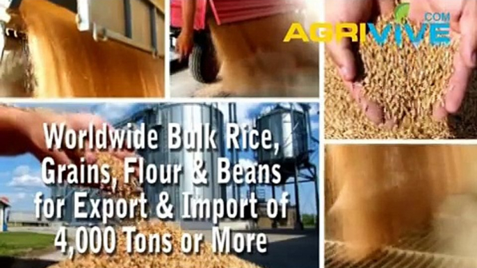 Acquire Bulk White Rice for Exporting, White Rice Exporters, White Rice Exporter, White Rice Exports, Export, Export