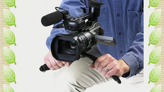 Anton Bauer EgripZ Flexible Support for Handheld Video Cameras