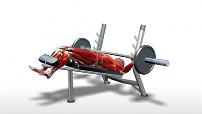 Workout Manager - Decline Bench Press (Chest Exercises)