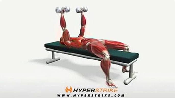 Workout Manager - Dumbbell Bench Press (Chest Exercises)