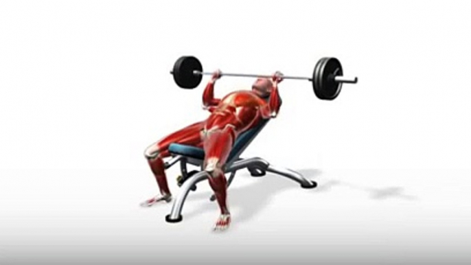 Workout Manager - Incline Bench Press (Chest Exercises)