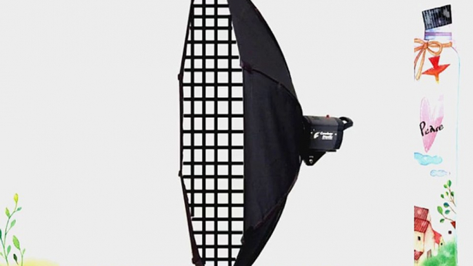 CowboyStudio 60-Inch Octagon Grid Softbox for Alien Bees (60 INCH OCTA GRID-AB)