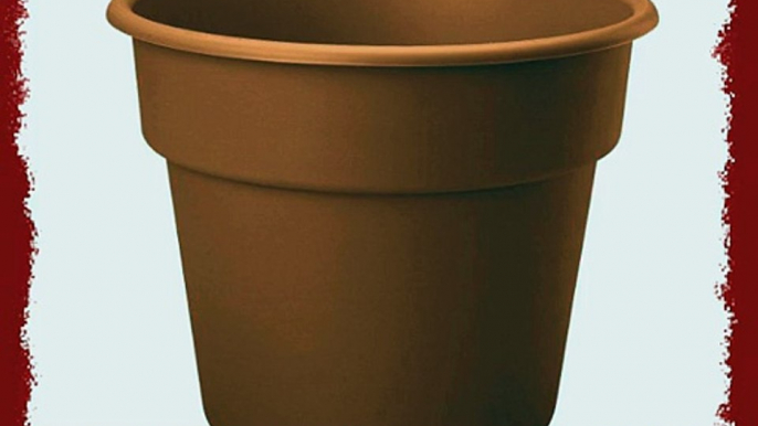 Bloem DC646-24 24-Pack Dura Cotta Planter 6-Inch Terra Cotta