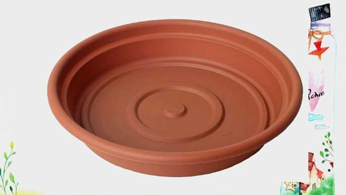 Bloem SDC2046-6 6-Pack Dura Cotta Plant Saucer 20-Inch Terra Cotta