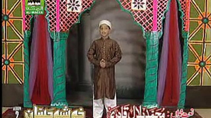 Naat Mere Sarkar aae  by HAFIZ BILAL QADRI