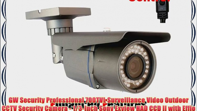 GW Security Professional 700TVL Surveillance Video Outdoor CCTV Security Camera - 1/3-Inch