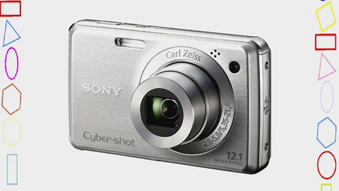 Sony Cybershot DSC-W220 12.1MP Digital Camera with 4x Optical Zoom with Super Steady Shot Image