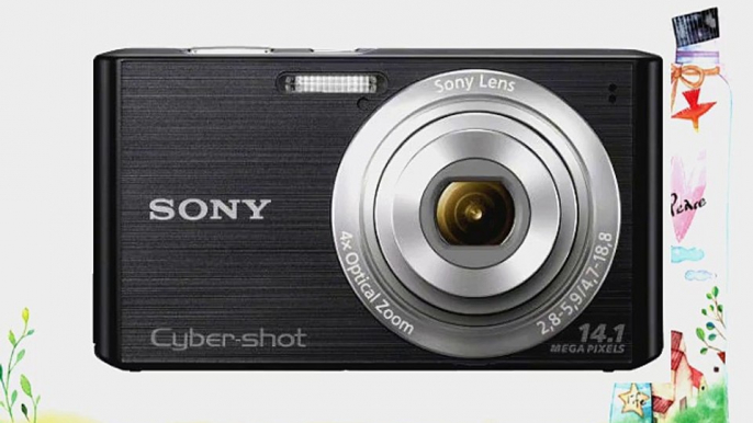 Sony Cyber-shot DSC-W610 14.1 MP Digital Camera with 4x Optical Zoom and 2.7-Inch LCD (Black)