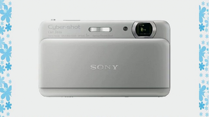 Sony Cyber-shot DSC-TX55 16.2 MP Slim Digital Camera with 5x Optical Zoom and 3.3-Inch OLED