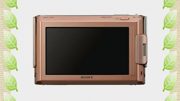 Sony Cyber-shot DSC-T90 12.1 MP Digital Camera with 4x Optical Zoom and Super Steady Shot Image