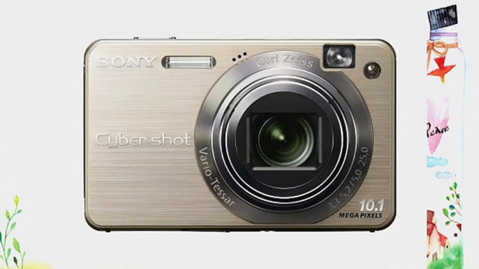 Sony Cybershot DSCW170/G 10.1MP Digital Camera with 5x Optical Zoom with Super Steady Shot